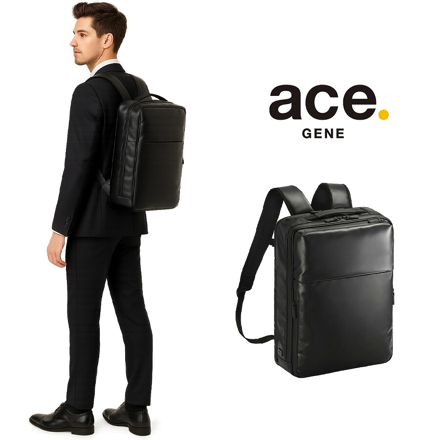 ace.GENE ガジェタブルWR2 リュック 16L ビジネス リュックサック A4対応 PC用ポケット 撥水 かばん バッグ メンズ  ギフト プレゼント ブラック 68663