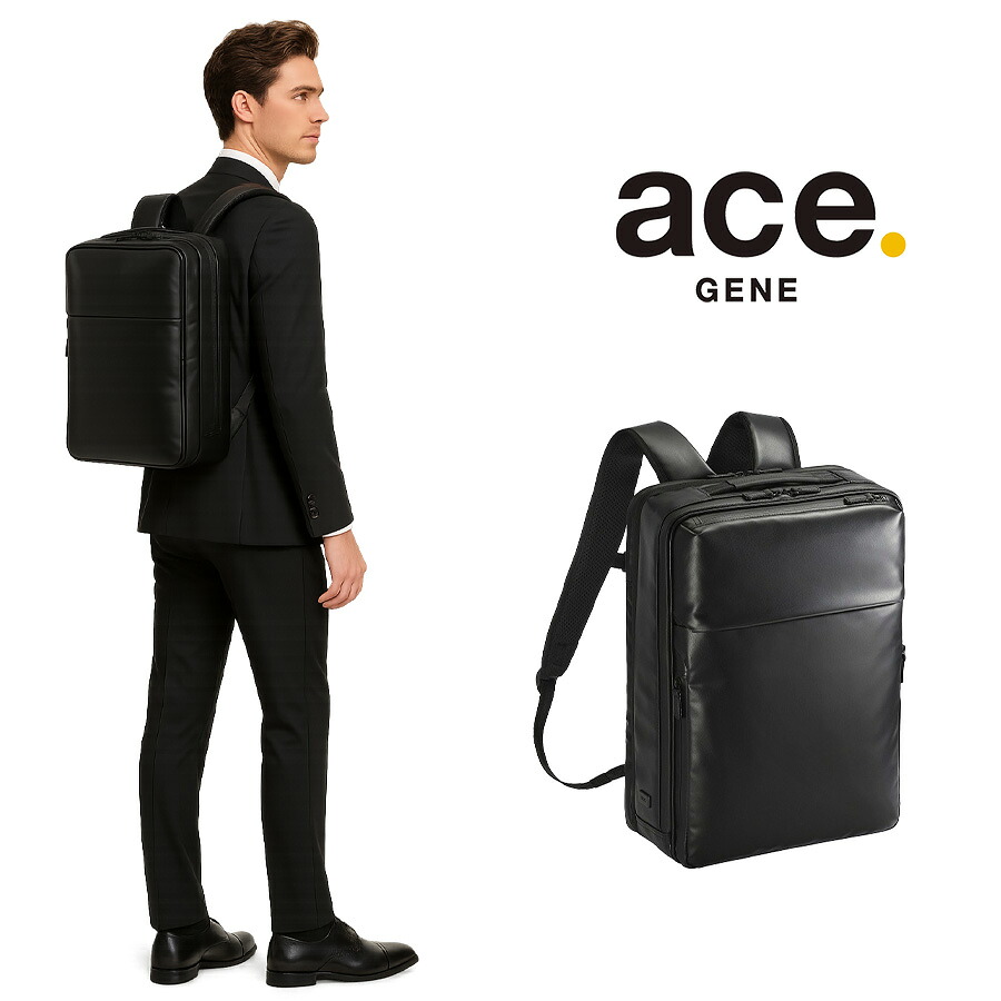 ace.GENE ガジェタブルWR2 リュック 19L ビジネス リュックサック B4対応 PC用ポケット 撥水 かばん バッグ メンズ  ギフト プレゼント ブラック 68664